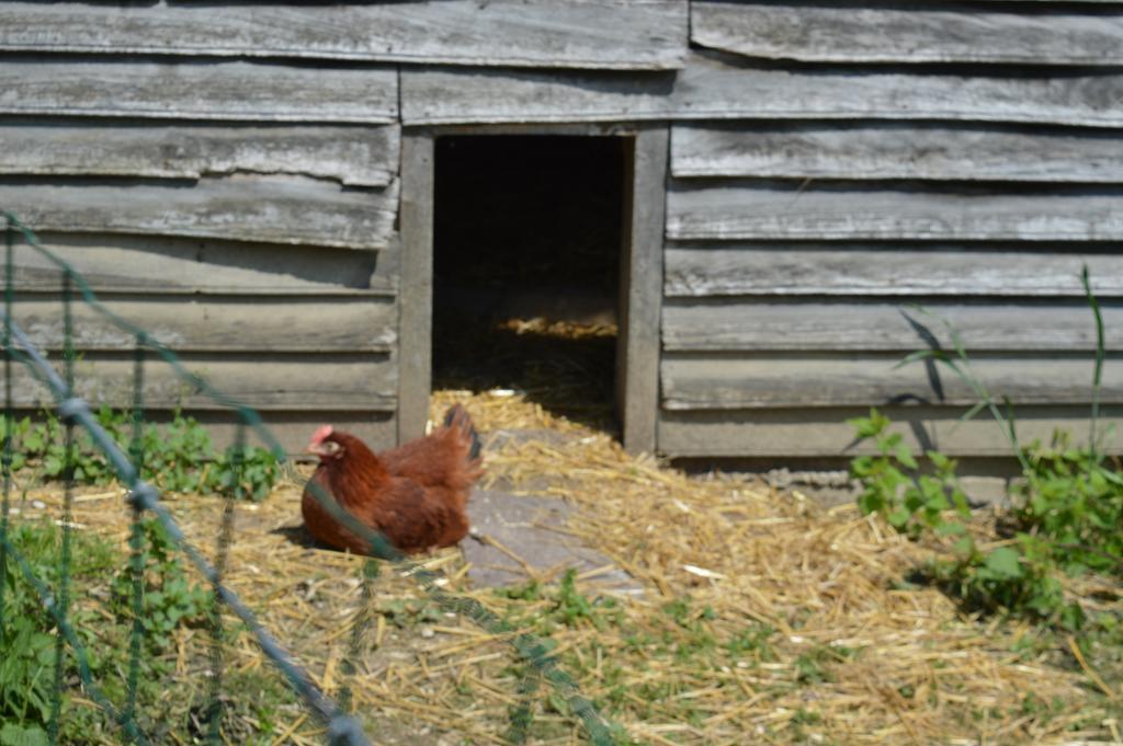 Au Passage Des Grues Bed & Breakfast Drosnay Exterior foto