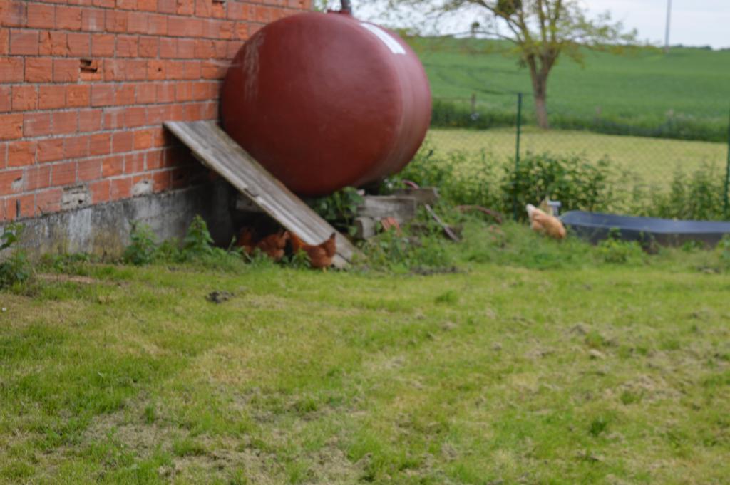 Au Passage Des Grues Bed & Breakfast Drosnay Exterior foto