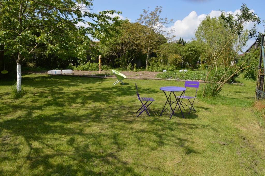 Au Passage Des Grues Bed & Breakfast Drosnay Exterior foto